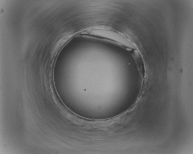 X0000076100001200610061718