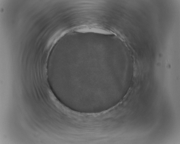 X0000076100002200610061718