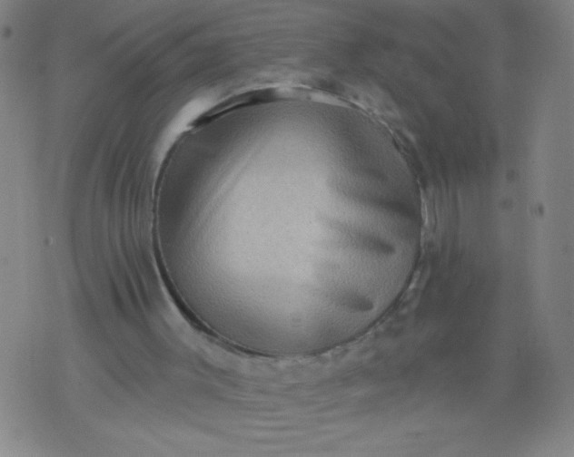 X0000076100003200610061718