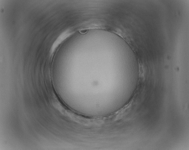 X0000076100004200610061718