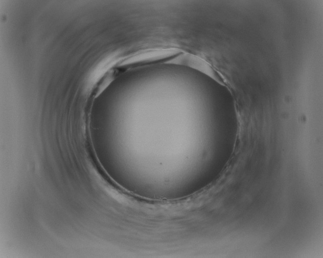 X0000076100005200610061718