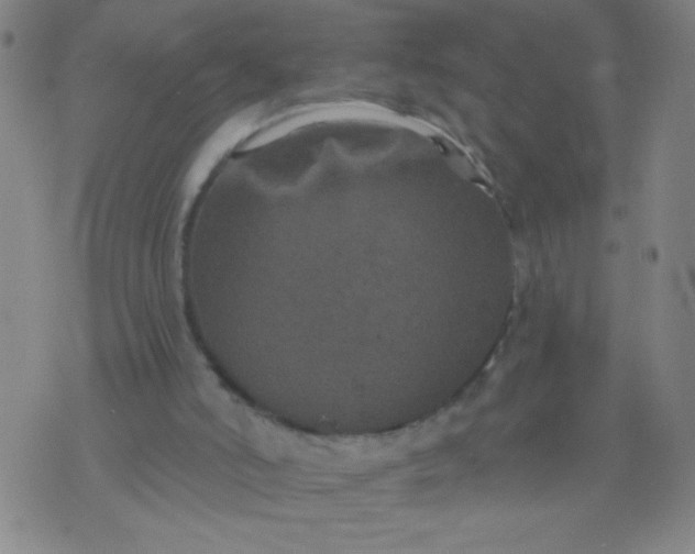 X0000076100006200610061718