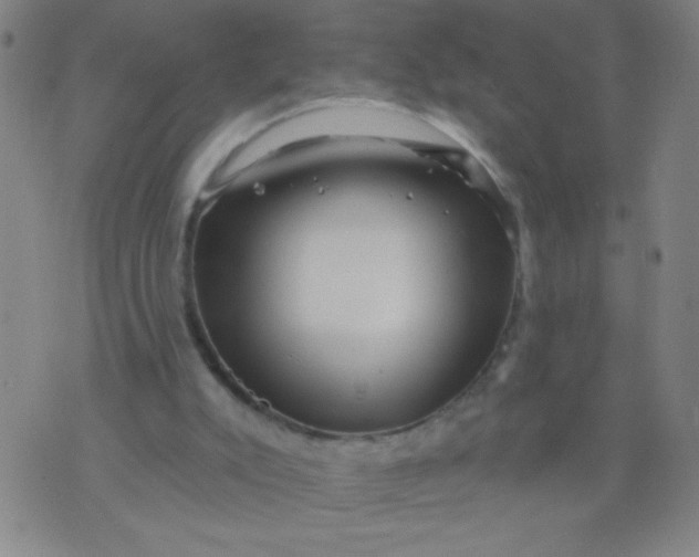 X0000076100007200610061718