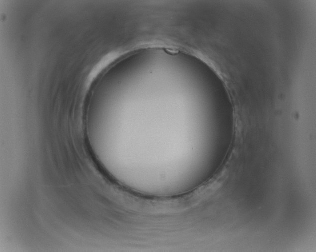 X0000076100008200610061718