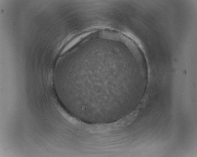 X0000076100009200610061718