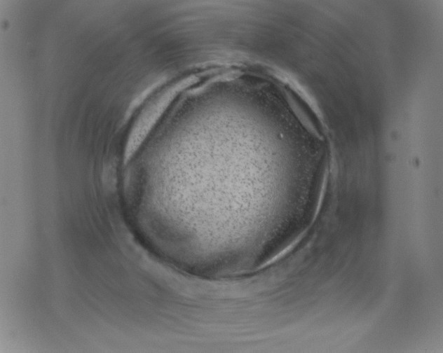 X0000076100010200610061718