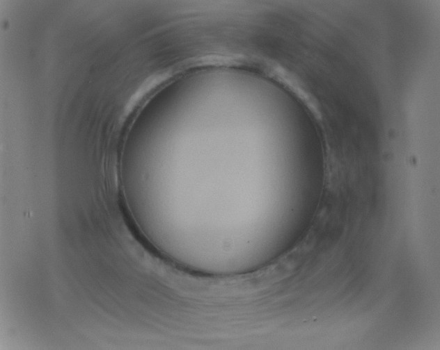 X0000076100011200610061718