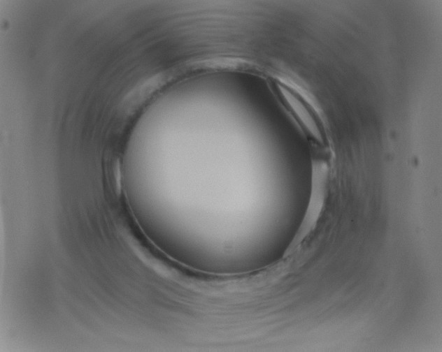 X0000076100013200610061718