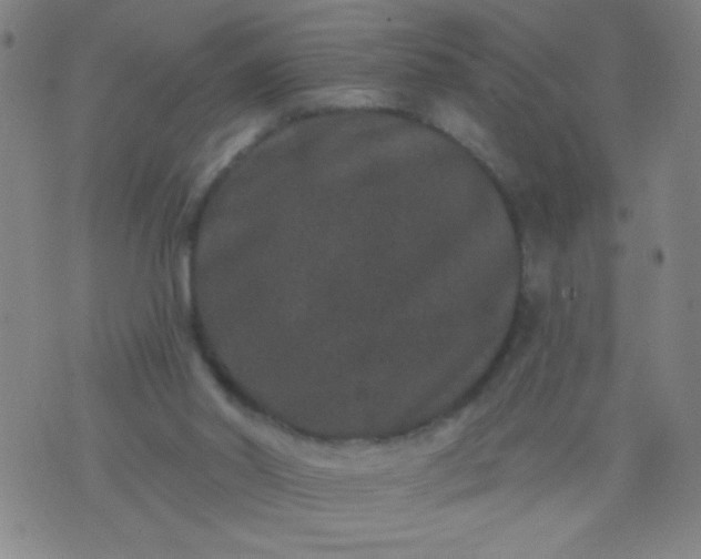 X0000076100014200610061718