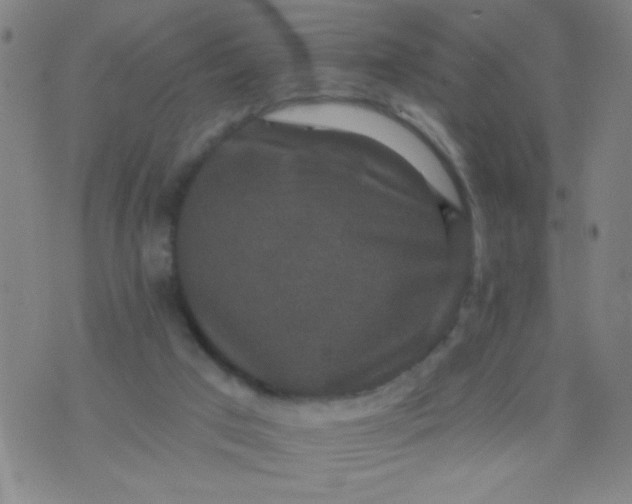 X0000076100017200610061718