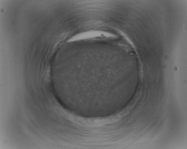 X0000076100018200610061718