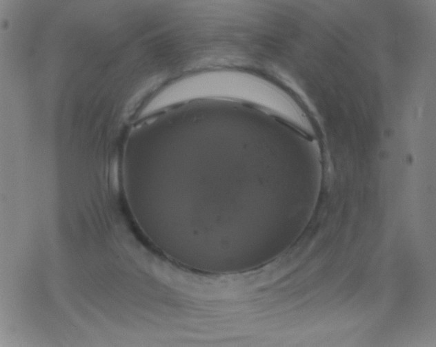 X0000076100019200610061718