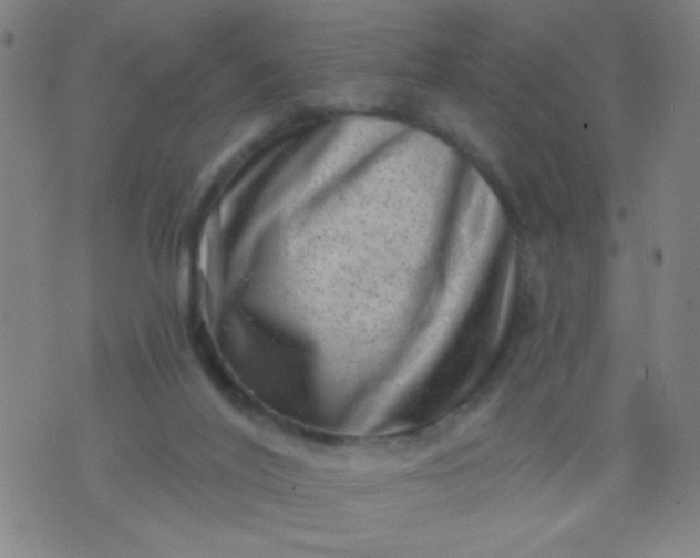 X0000076100020200610061718