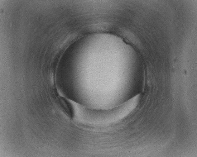 X0000076100021200610061718