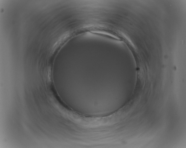 X0000076100023200610061718