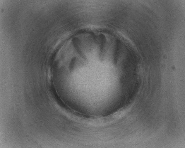 X0000076100024200610061718