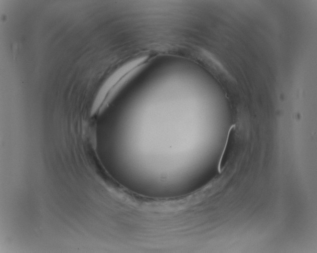 X0000076100025200610061718