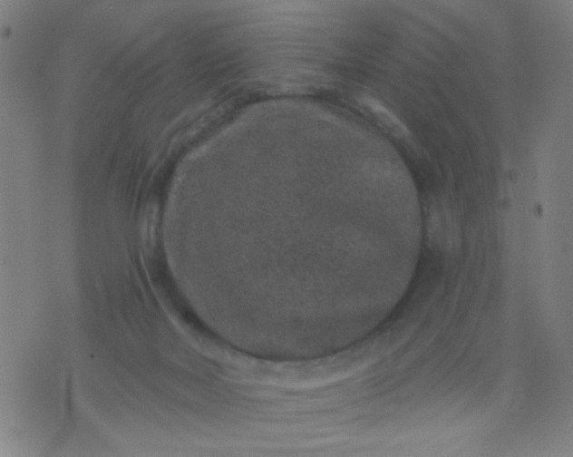 X0000076100026200610061718