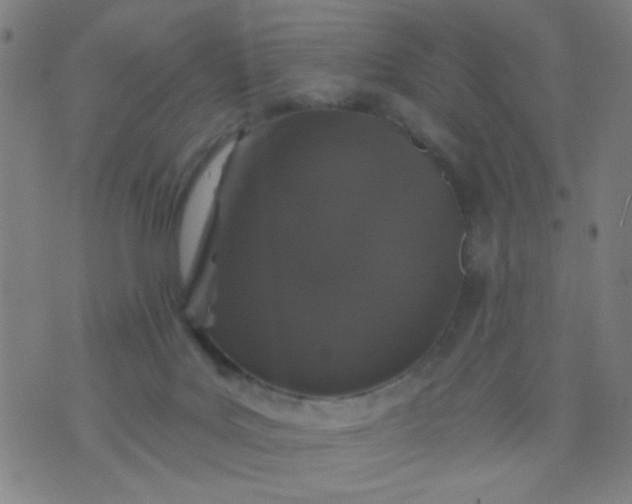 X0000076100027200610061718