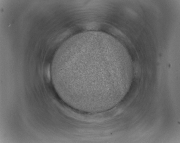 X0000076100028200610061718