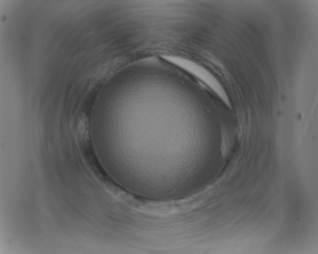 X0000076100029200610061718