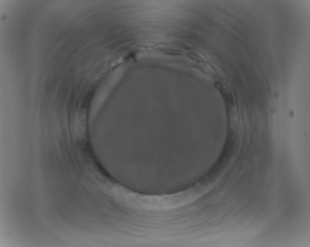 X0000076100030200610061718