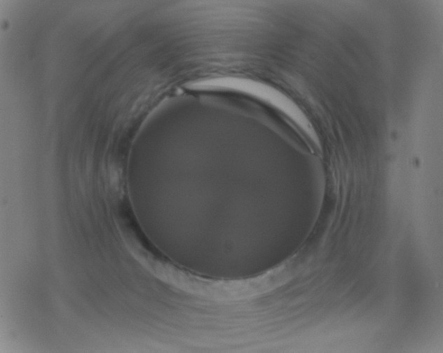 X0000076100031200610061718