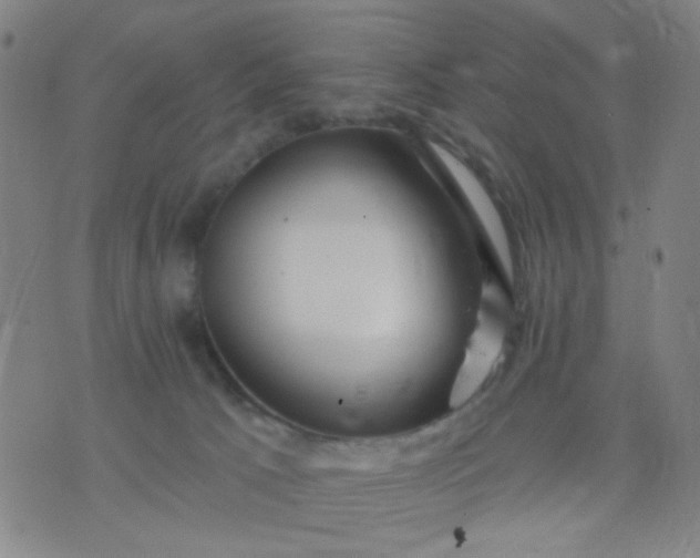 X0000076100033200610061718