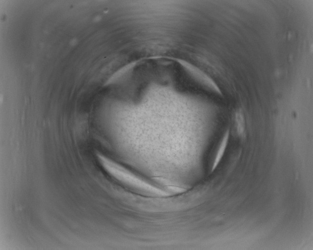 X0000076100034200610061718