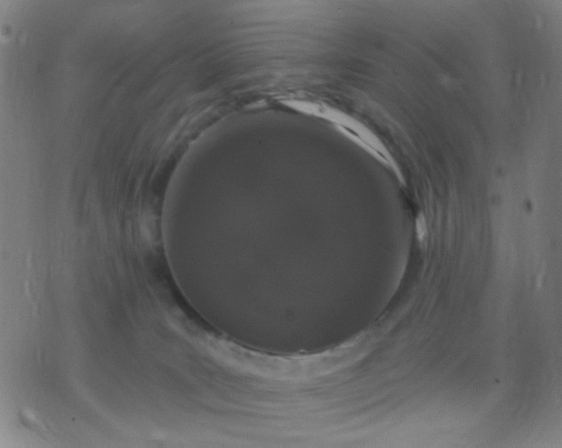 X0000076100035200610061718