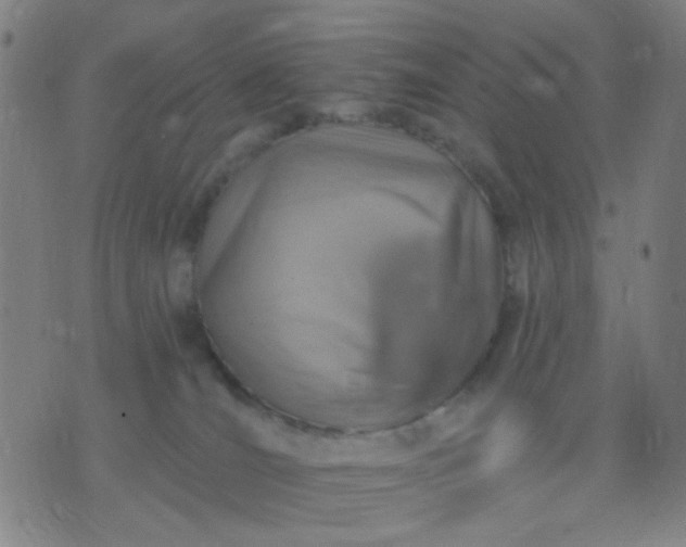 X0000076100036200610061718