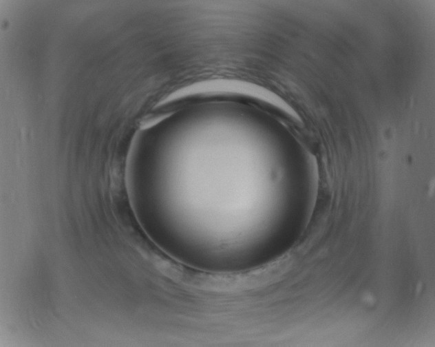 X0000076100037200610061718