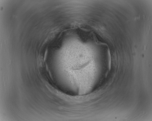 X0000076100038200610061718