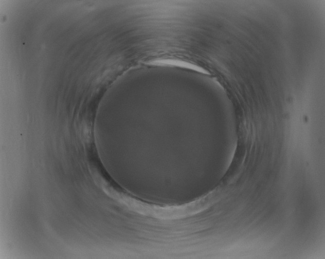 X0000076100039200610061718