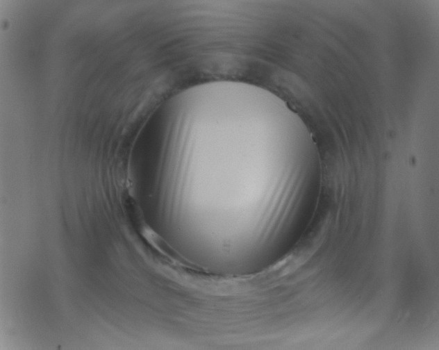 X0000076100040200610061718