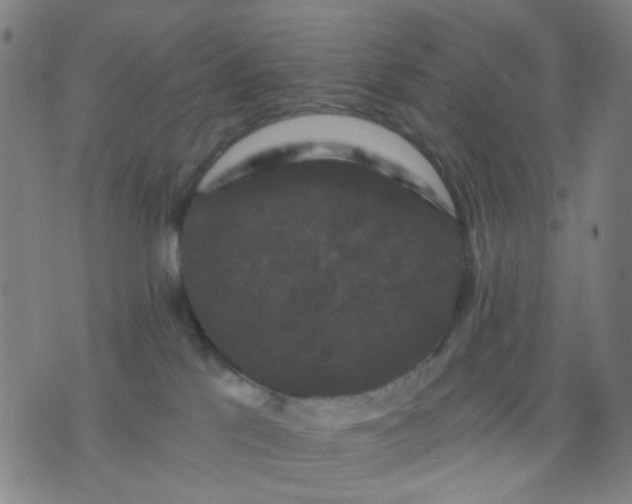 X0000076100041200610061717