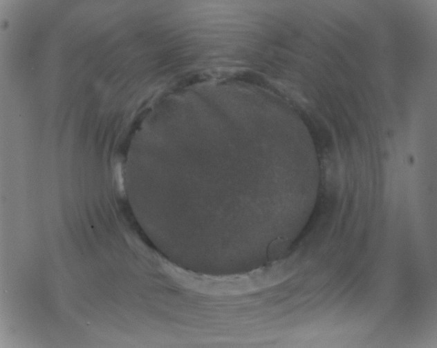 X0000076100042200610061717