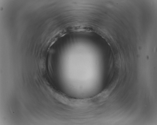 X0000076100044200610061717