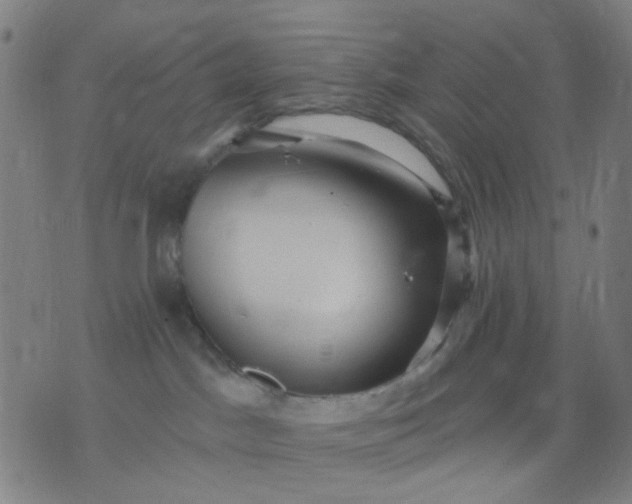 X0000076100045200610061717