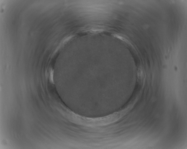 X0000076100046200610061717