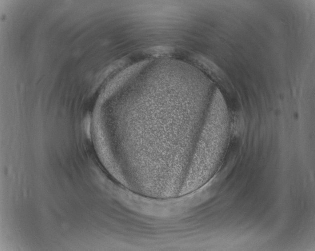 X0000076100047200610061717