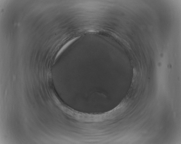 X0000076100048200610061717