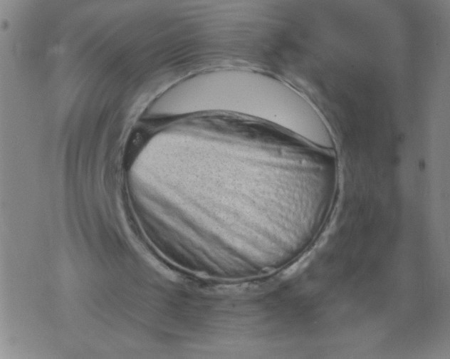 X0000076100049200610061717