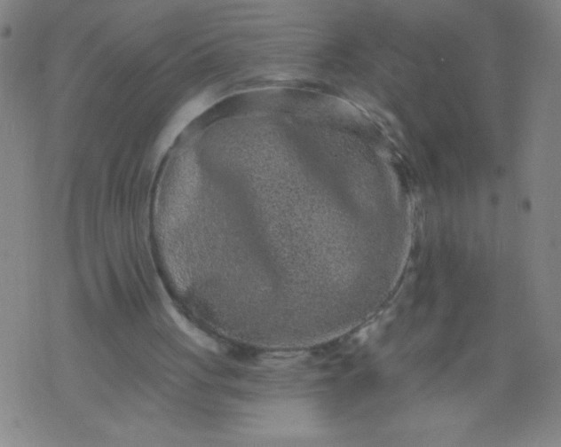 X0000076100051200610061717