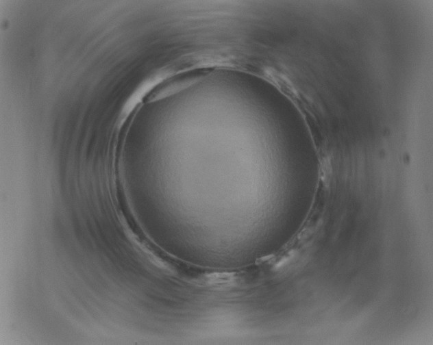 X0000076100052200610061717