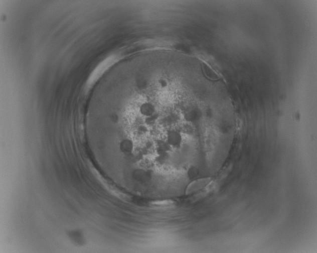 X0000076100053200610061717