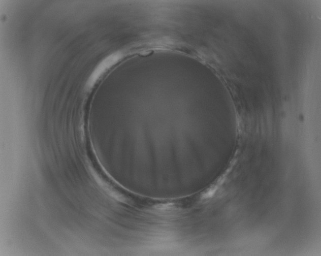 X0000076100054200610061717