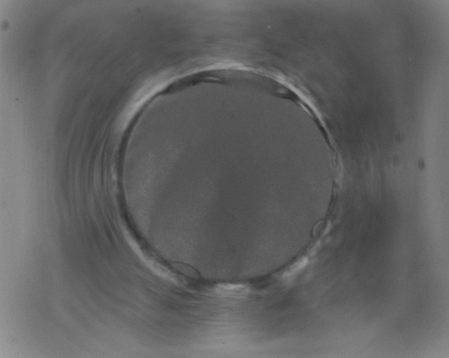 X0000076100055200610061717