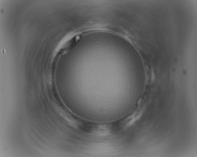 X0000076100056200610061717