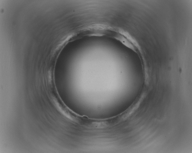 X0000076100057200610061717